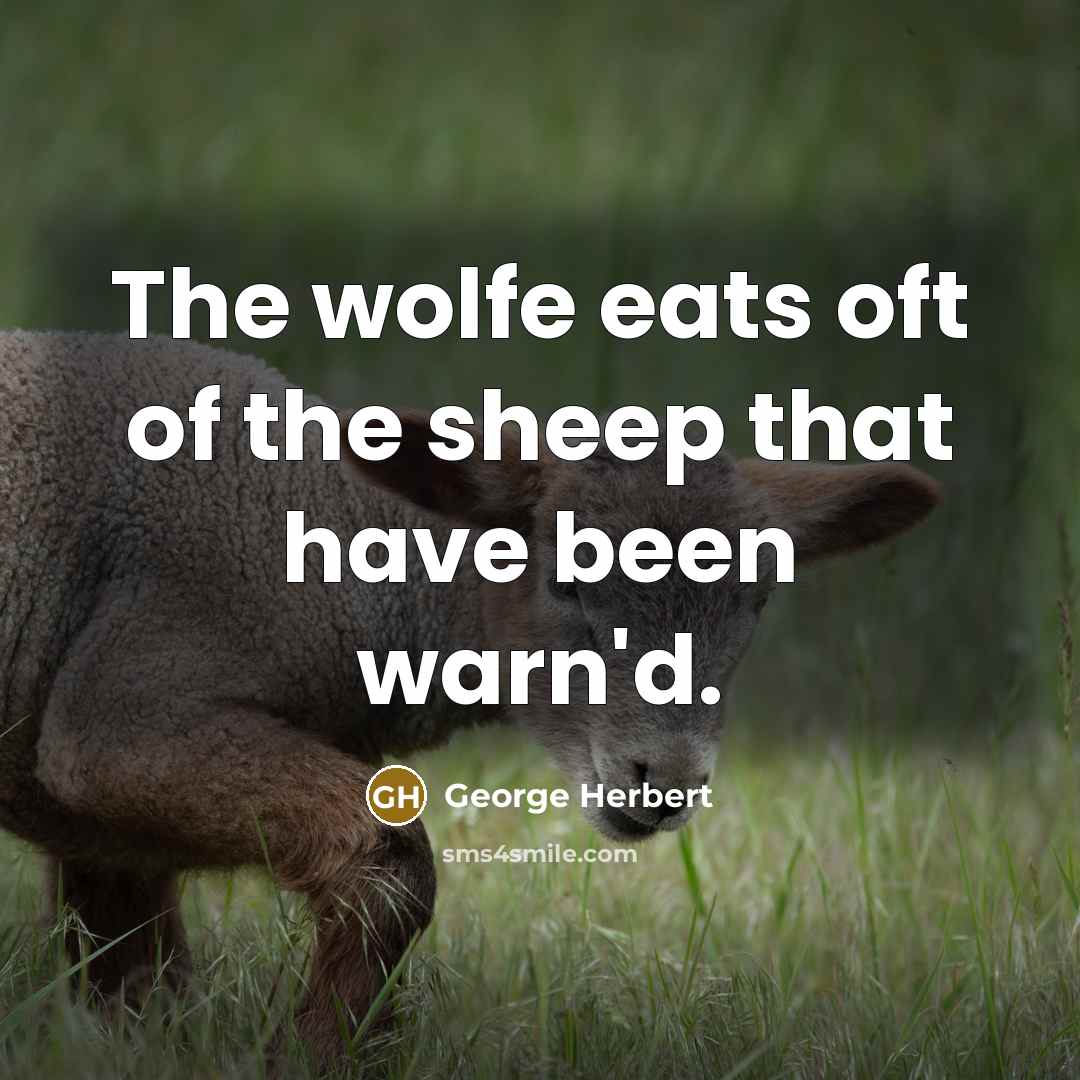 “The wolfe eats oft of the sheep that have been warn'd.” quote by George Herbert