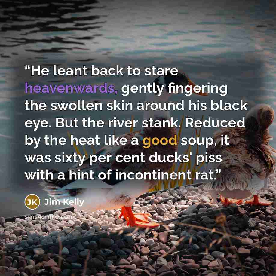 “He leant back to stare heavenwards, gently fingering the swollen skin around his black eye. But the river stank. Reduced by the heat like a good soup, it was sixty per cent ducks' piss with a hint of incontinent rat.” quote by Jim Kelly
