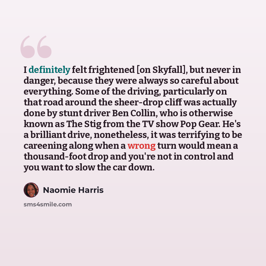“I definitely felt frightened [on Skyfall], but never in danger, because they were always so careful about everything. Some of the driving, particularly on that road around the sheer-drop cliff was actually done by stunt driver Ben Collin, who is otherwise known as The Stig from the TV show Pop…” quote by Naomie Harris