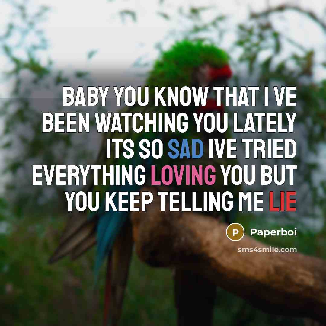 “Baby you know that i ve been watching you lately its so sad ive tried everything loving you but you keep telling me lie” quote by Paperboi