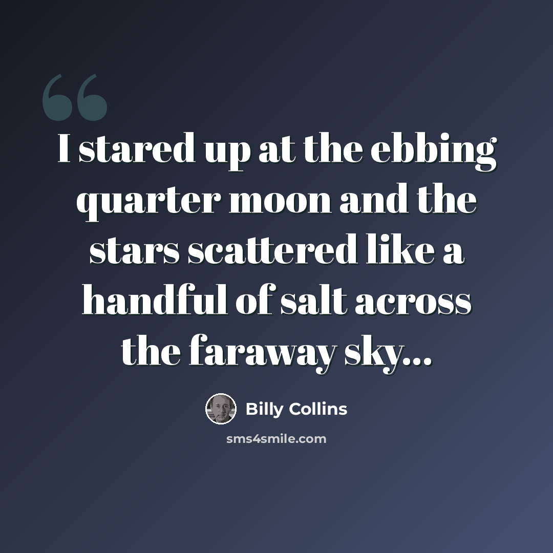 “I stared up at the ebbing quarter moon and the stars scattered like a handful of salt across the faraway sky...” quote by Billy Collins