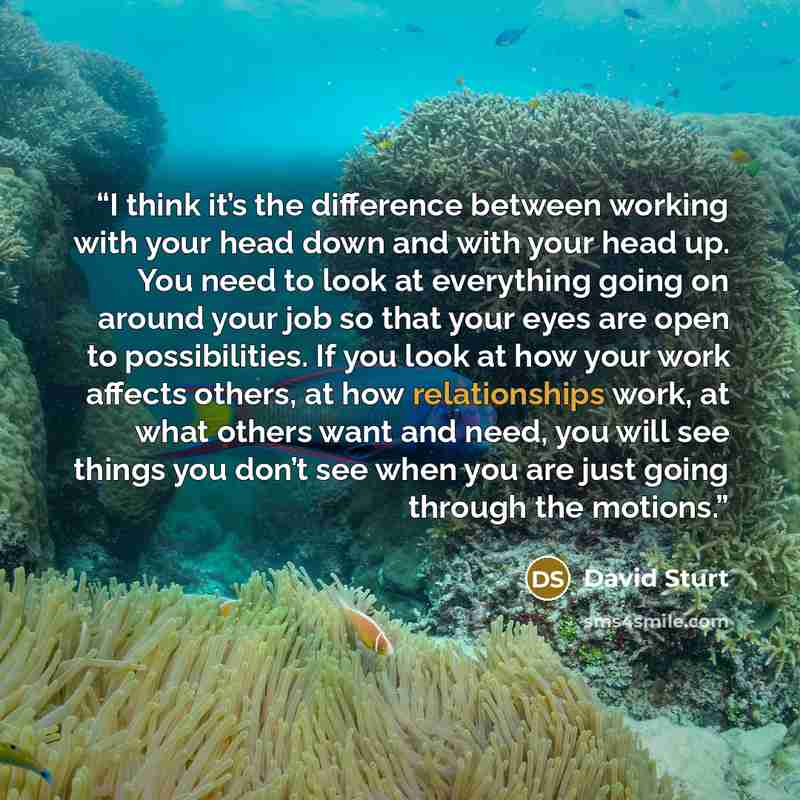 “I think it’s the difference between working with your head down and with your head up. You need to look at everything going on around your job so that your eyes are open to possibilities. If you look at how your work affects others, at how relationships work, at what others want and need, you will…” quote by David Sturt