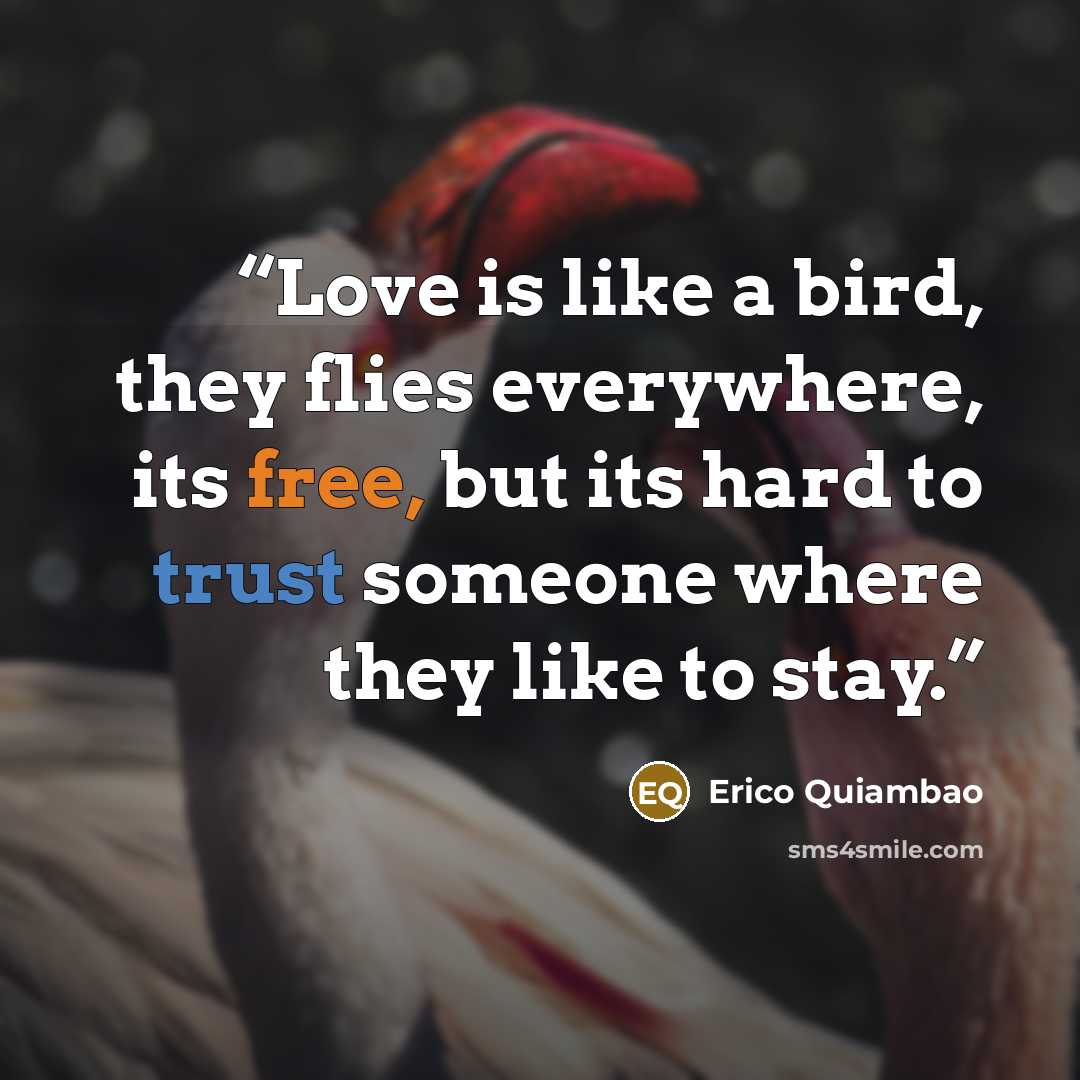 “Love is like a bird, they flies everywhere, its free, but its hard to trust someone where they like to stay.” quote by Erico Quiambao