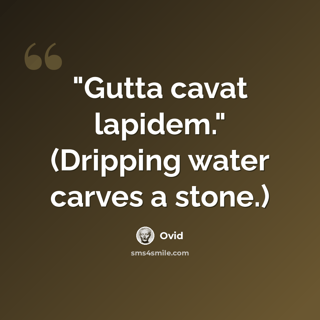 “"Gutta cavat lapidem." (Dripping water carves a stone.)” quote by Ovid