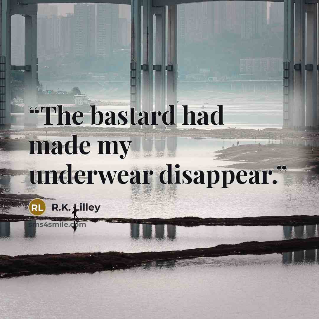 “The bastard had made my underwear disappear.” quote by R.K. Lilley