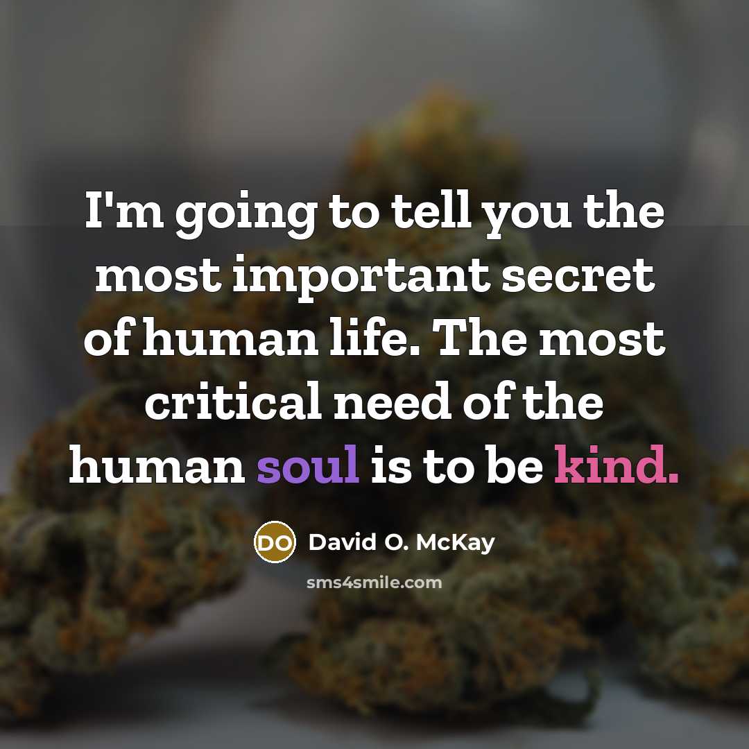 “I'm going to tell you the most important secret of human life. The most critical need of the human soul is to be kind.” quote by David O. McKay