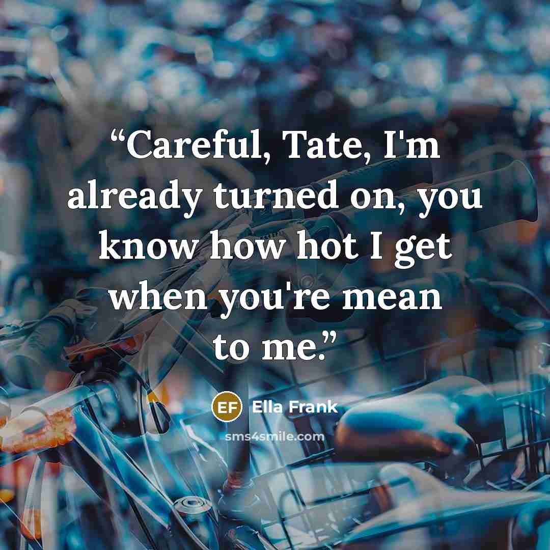 “Careful, Tate, I'm already turned on, you know how hot I get when you're mean to me.” quote by Ella Frank