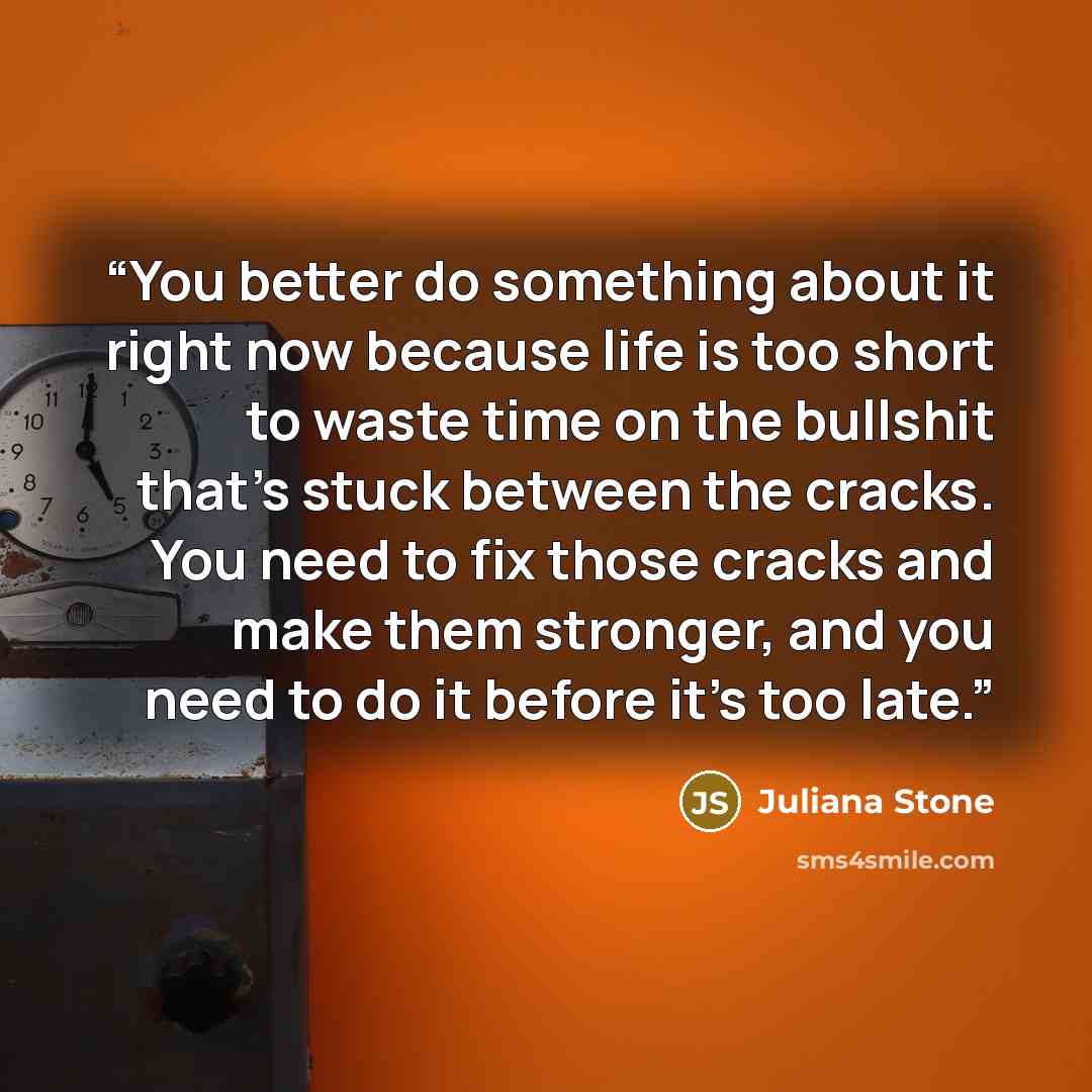 “You better do something about it right now because life is too short to waste time on the bullshit that’s stuck between the cracks. You need to fix those cracks and make them stronger, and you need to do it before it’s too late.” quote by Juliana Stone