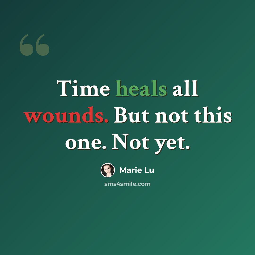 “Time heals all wounds. But not this one. Not yet.” quote by Marie Lu