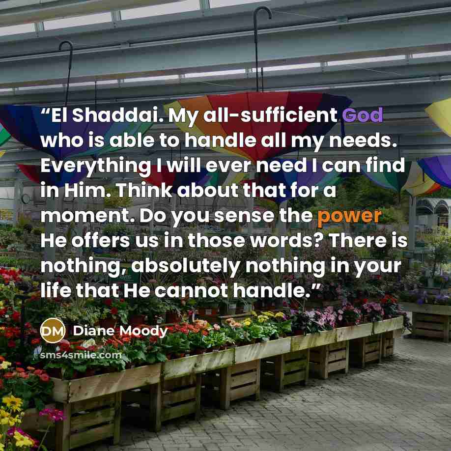 “El Shaddai. My all-sufficient God who is able to handle all my needs. Everything I will ever need I can find in Him. Think about that for a moment. Do you sense the power He offers us in those words? There is nothing, absolutely nothing in your life that He cannot handle.” quote by Diane Moody