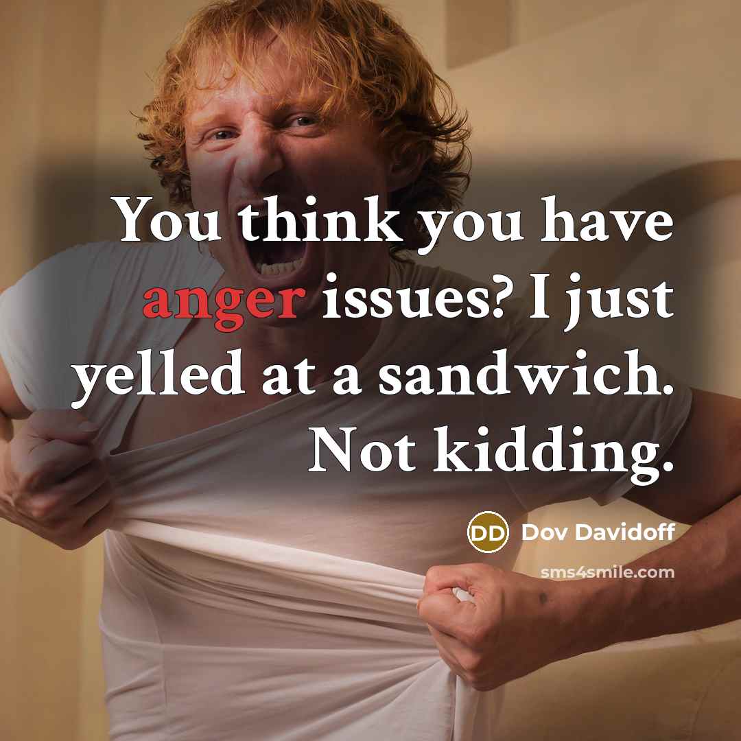“You think you have anger issues? I just yelled at a sandwich. Not kidding.” quote by Dov Davidoff