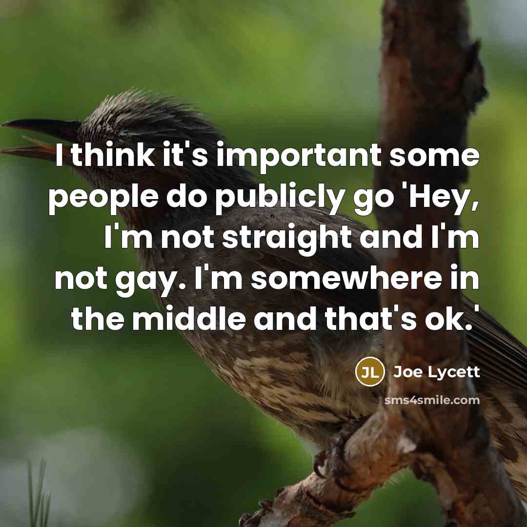 “I think it's important some people do publicly go 'Hey, I'm not straight and I'm not gay. I'm somewhere in the middle and that's ok.'” quote by Joe Lycett