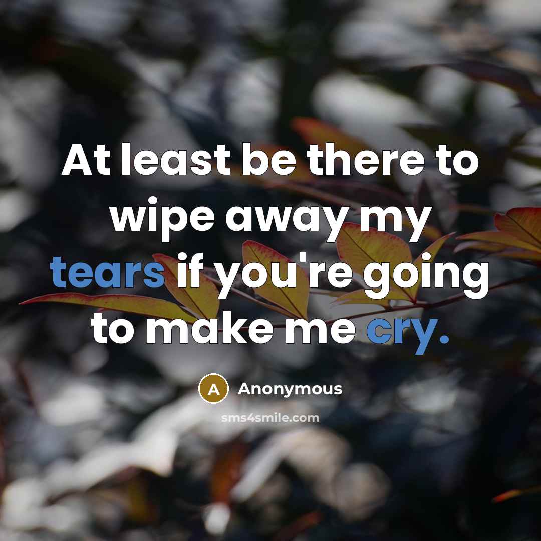“At least be there to wipe away my tears if you're going to make me cry.” quote by Anonymous