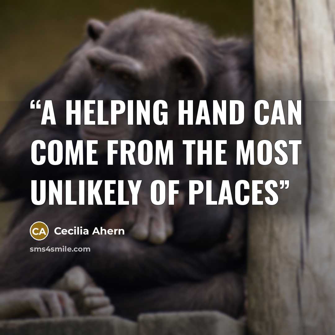 “A helping hand can come from the most unlikely of places” quote by Cecilia Ahern