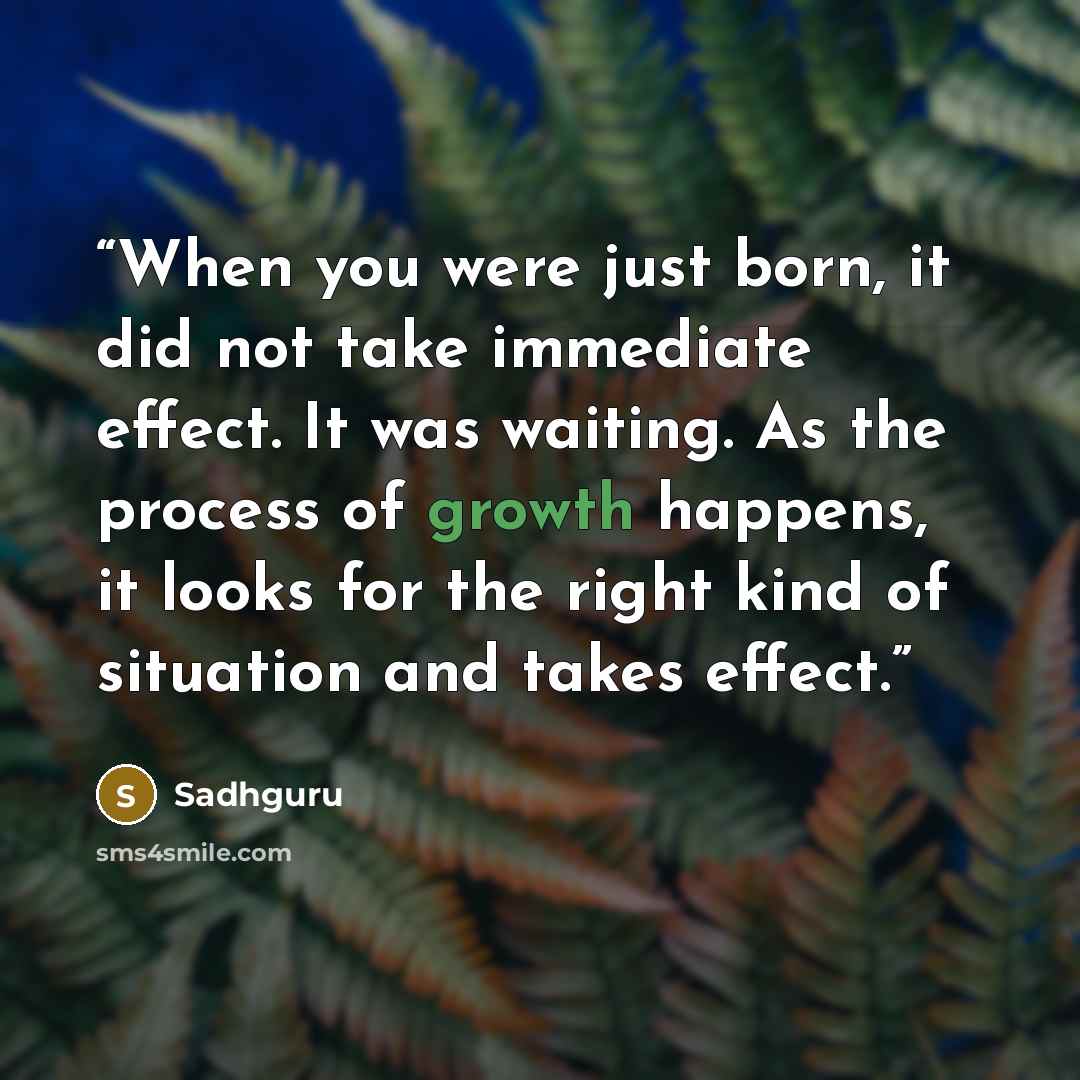 “When you were just born, it did not take immediate effect. It was waiting. As the process of growth happens, it looks for the right kind of situation and takes effect.” quote by Sadhguru