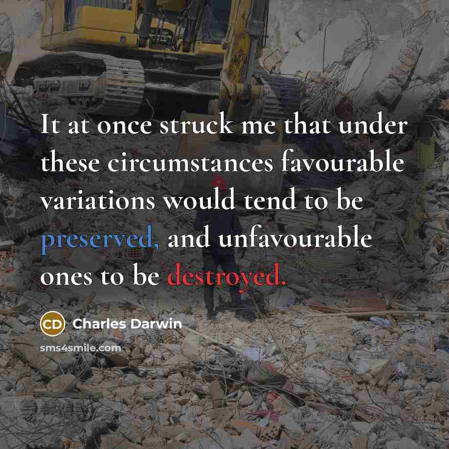 “It at once struck me that under these circumstances favourable variations would tend to be preserved, and unfavourable ones to be destroyed.” quote by Charles Darwin