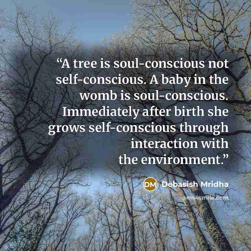 “A tree is soul-conscious not self-conscious. A baby in the womb is soul-conscious. Immediately after birth she grows self-conscious through interaction with the environment.” quote by Debasish Mridha