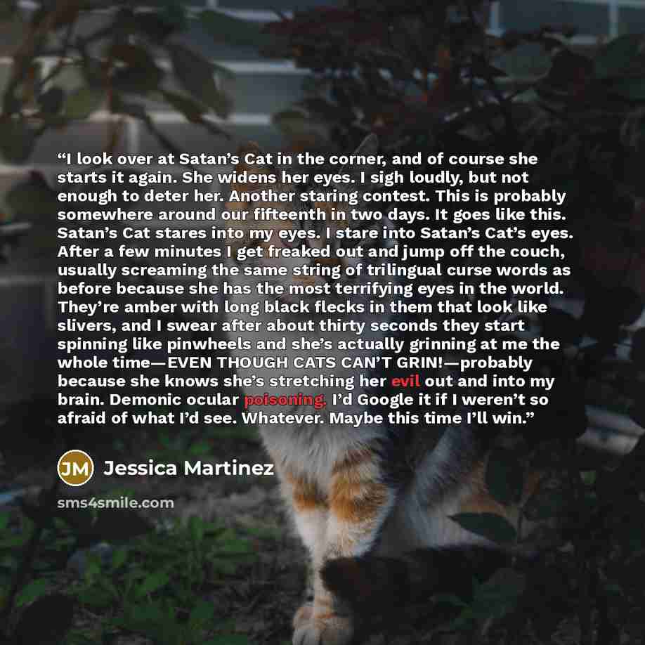 “I look over at Satan’s Cat in the corner, and of course she starts it again. She widens her eyes. I sigh loudly, but not enough to deter her. Another staring contest. This is probably somewhere around our fifteenth in two days. It goes like this. Satan’s Cat stares into my eyes. I stare into…” quote by Jessica Martinez