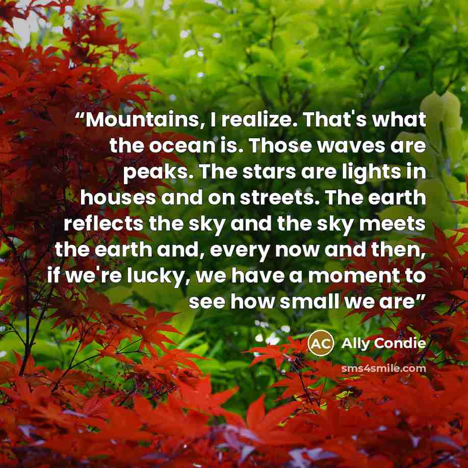 “Mountains, I realize. That's what the ocean is. Those waves are peaks. The stars are lights in houses and on streets. The earth reflects the sky and the sky meets the earth and, every now and then, if we're lucky, we have a moment to see how small we are” quote by Ally Condie