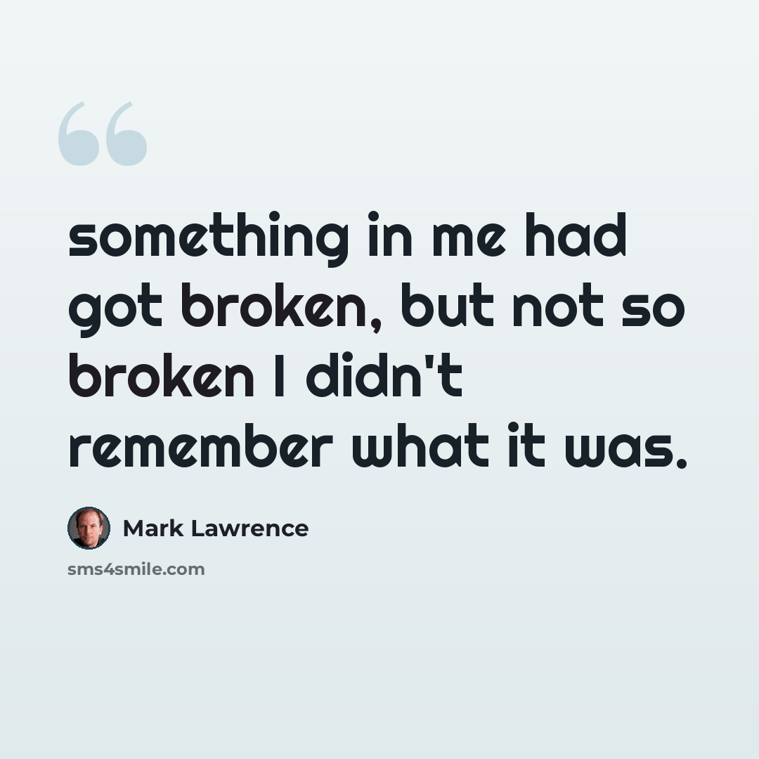 “something in me had got broken, but not so broken I didn't remember what it was.” quote by Mark Lawrence