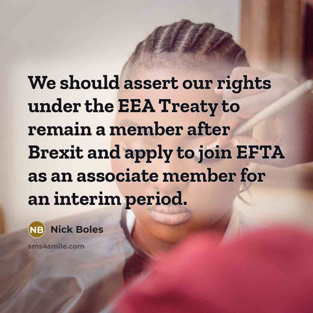 “We should assert our rights under the EEA Treaty to remain a member after Brexit and apply to join EFTA as an associate member for an interim period.” quote by Nick Boles