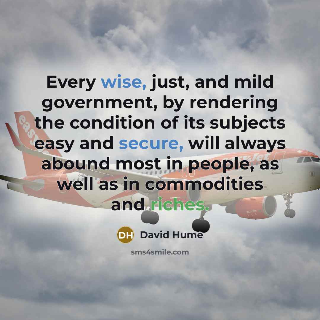 “Every wise, just, and mild government, by rendering the condition of its subjects easy and secure, will always abound most in people, as well as in commodities and riches.” quote by David Hume