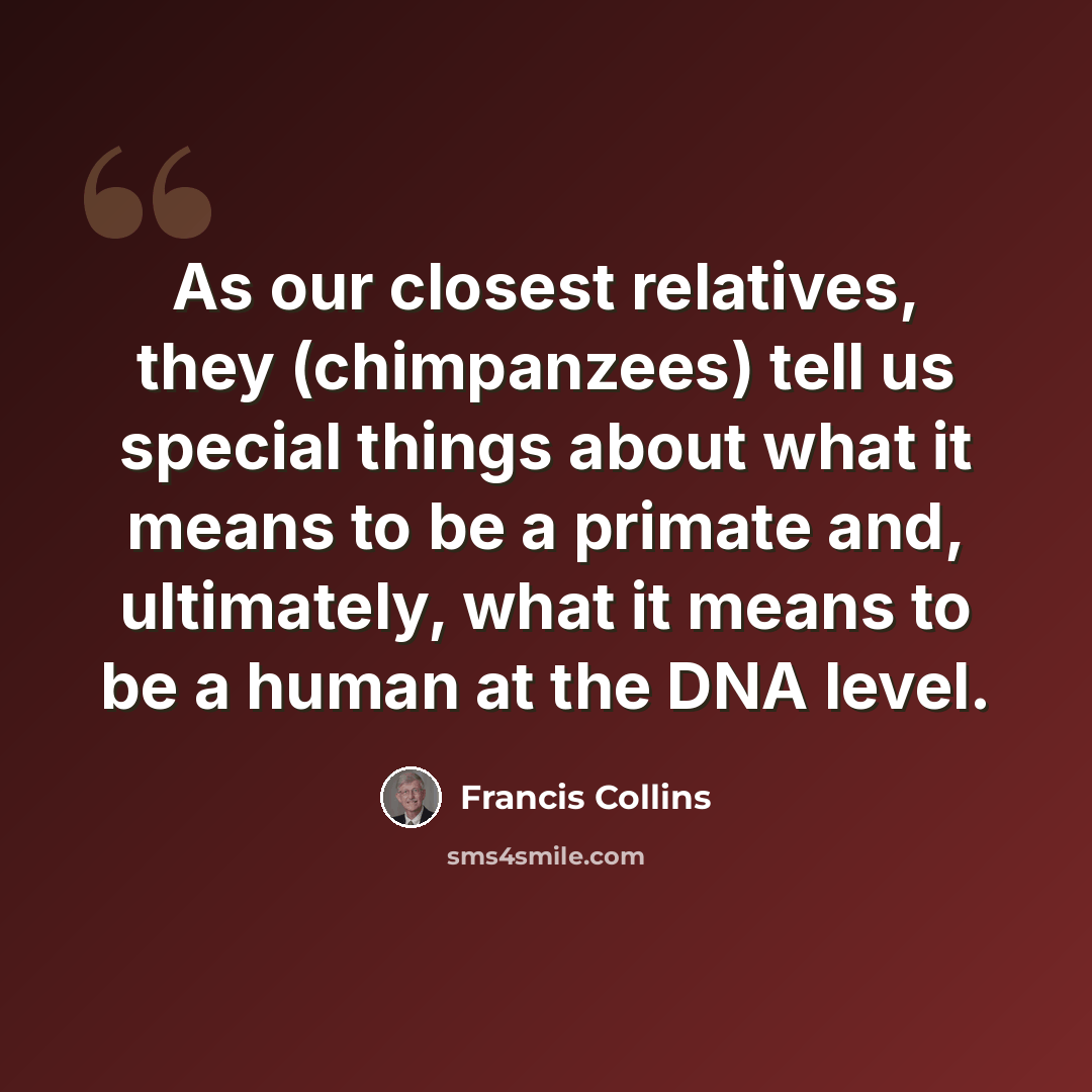 “As our closest relatives, they (chimpanzees) tell us special things about what it means to be a primate and, ultimately, what it means to be a human at the DNA level.” quote by Francis Collins