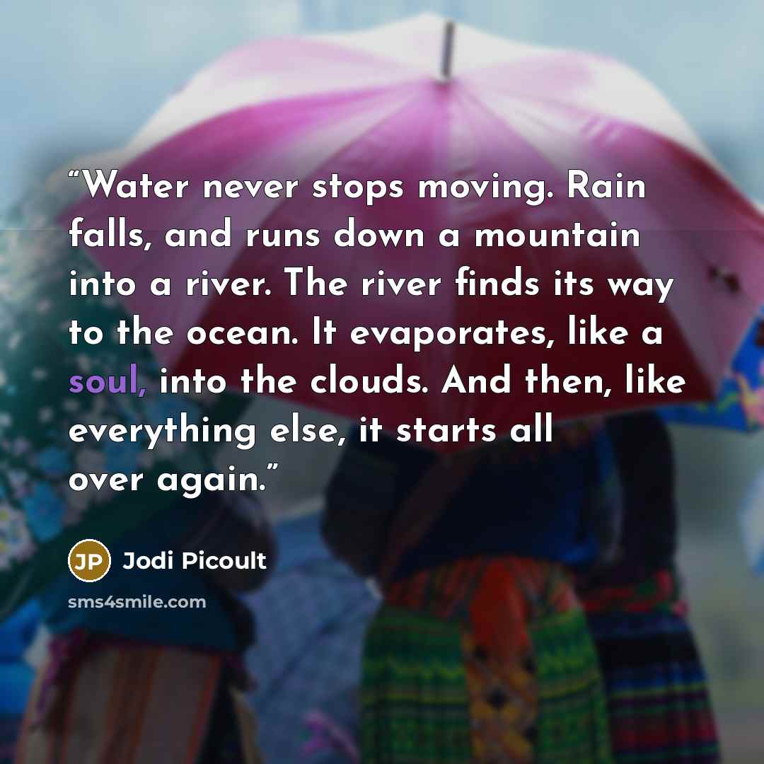 “Water never stops moving. Rain falls, and runs down a mountain into a river. The river finds its way to the ocean. It evaporates, like a soul, into the clouds. And then, like everything else, it starts all over again.” quote by Jodi Picoult
