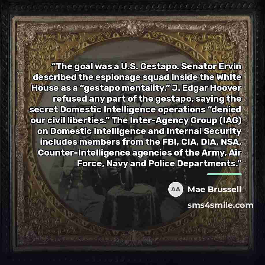 “The goal was a U.S. Gestapo. Senator Ervin described the espionage squad inside the White House as a “gestapo mentality.” J. Edgar Hoover refused any part of the gestapo, saying the secret Domestic Intelligence operations “denied our civil liberties.” The Inter-Agency Group (IAG) on Domestic…” quote by Mae Brussell