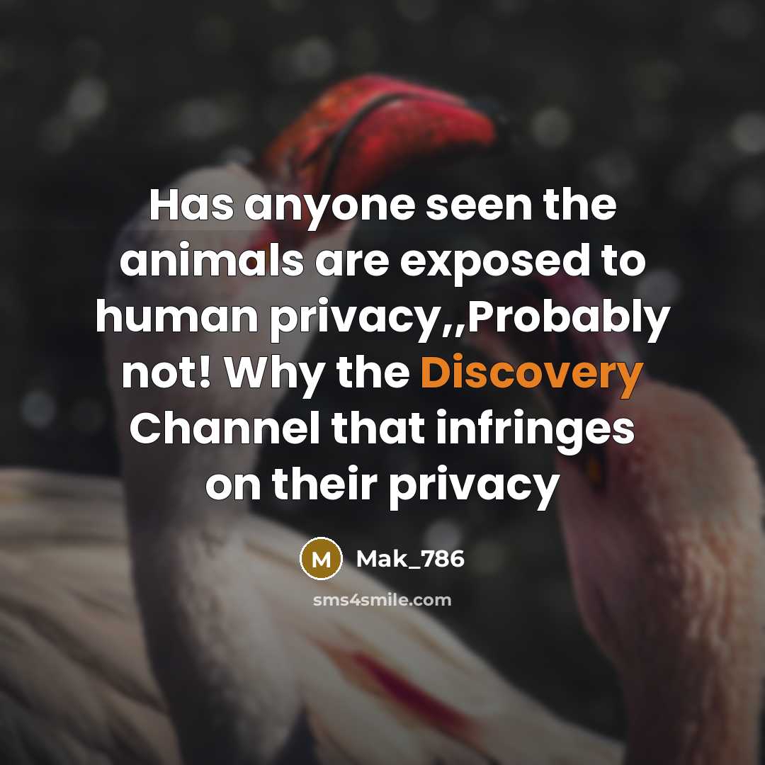 “Has anyone seen the animals are exposed to human privacy,,Probably not! Why the Discovery Channel that infringes on their privacy” quote by Mak_786