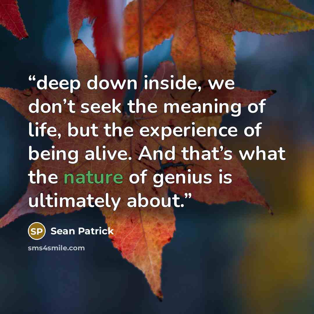 “deep down inside, we don’t seek the meaning of life, but the experience of being alive. And that’s what the nature of genius is ultimately about.” quote by Sean Patrick