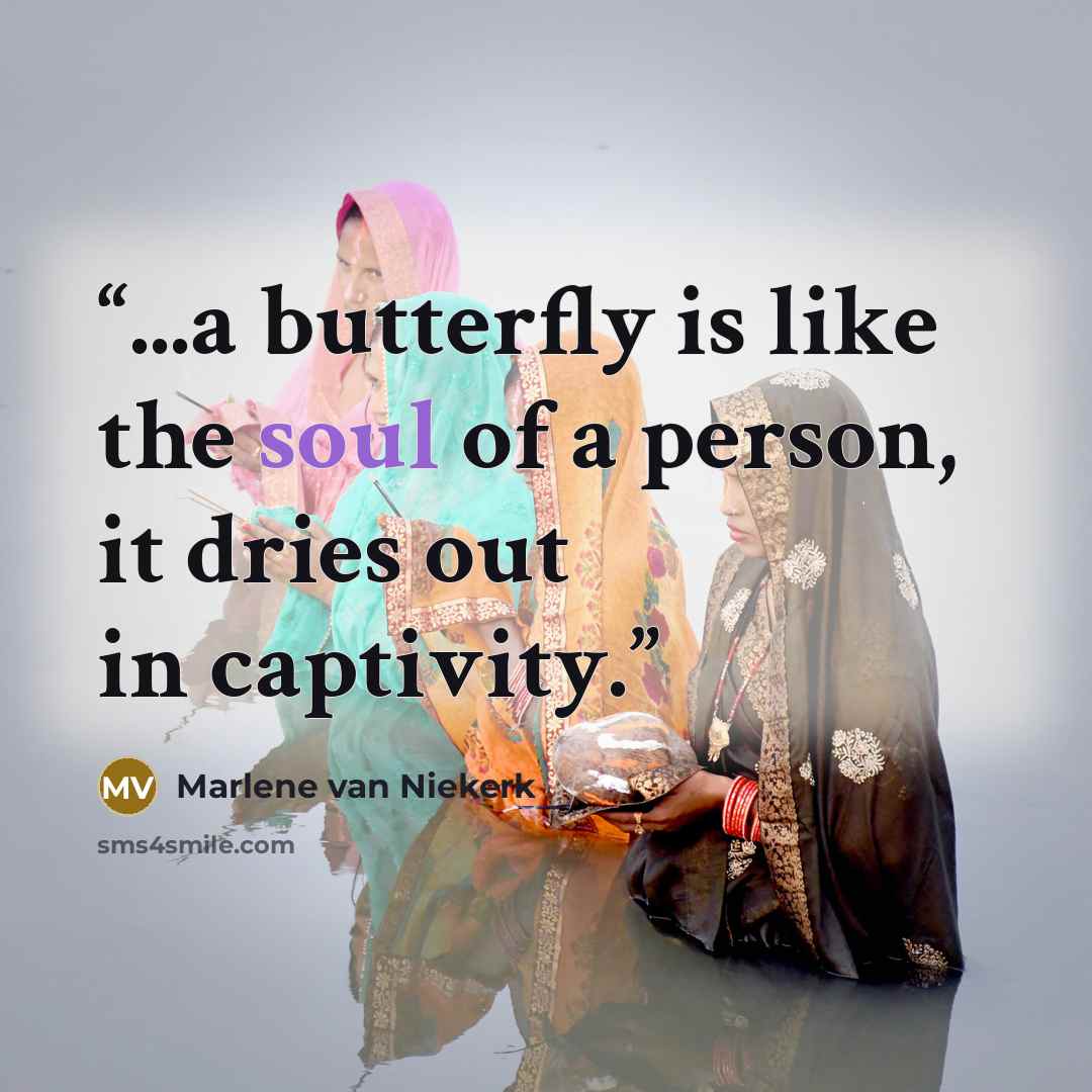 “...a butterfly is like the soul of a person, it dries out in captivity.” quote by Marlene Van Niekerk