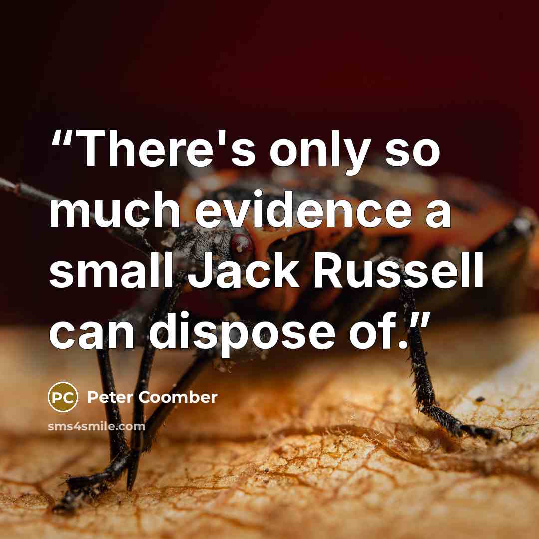 “There's only so much evidence a small Jack Russell can dispose of.” quote by Peter Coomber
