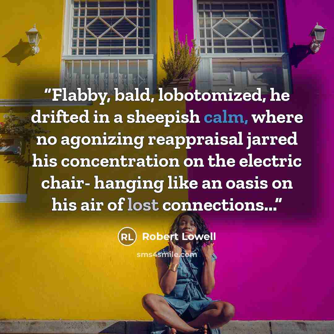 “Flabby, bald, lobotomized, he drifted in a sheepish calm, where no agonizing reappraisal jarred his concentration on the electric chair- hanging like an oasis on his air of lost connections...” quote by Robert Lowell