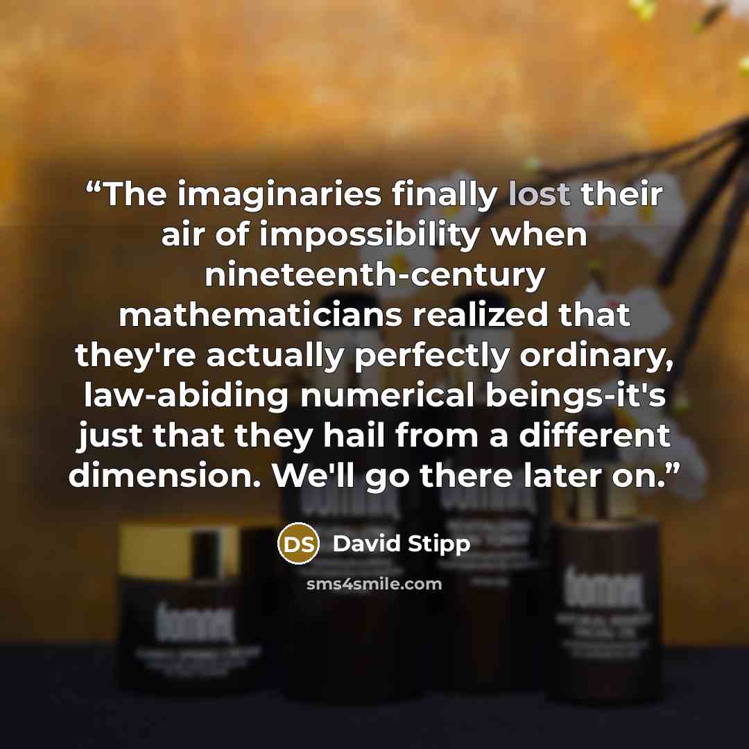 “The imaginaries finally lost their air of impossibility when nineteenth-century mathematicians realized that they're actually perfectly ordinary, law-abiding numerical beings-it's just that they hail from a different dimension. We'll go there later on.” quote by David Stipp