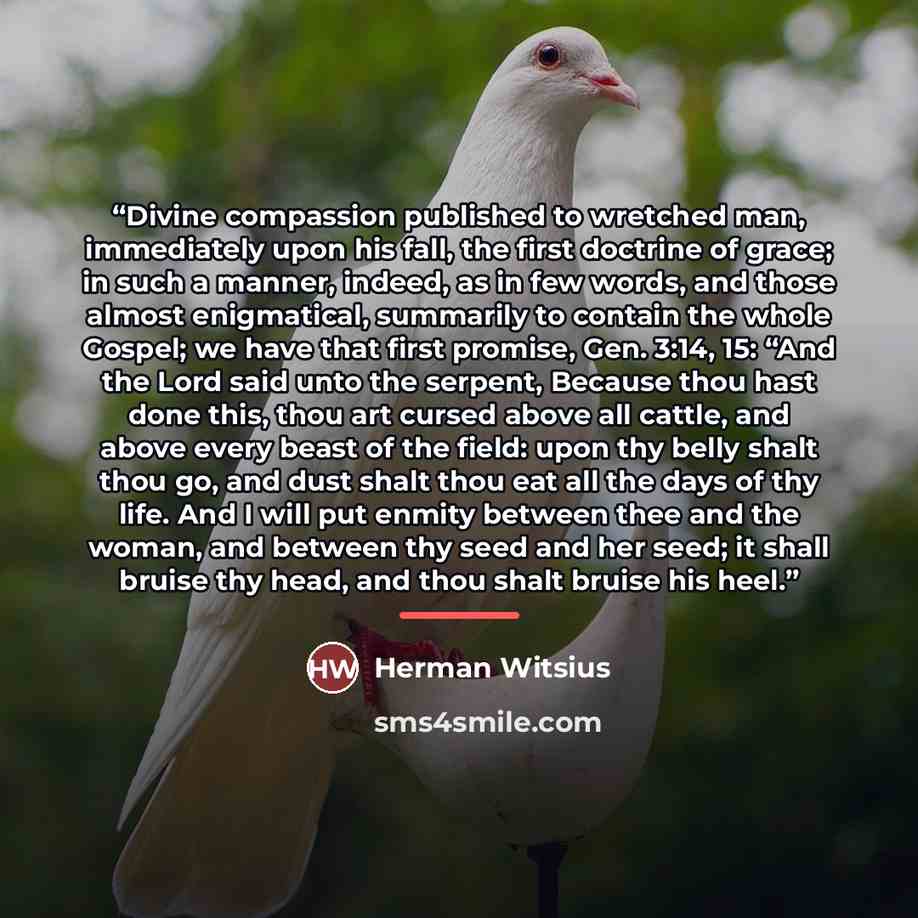 “Divine compassion published to wretched man, immediately upon his fall, the first doctrine of grace; in such a manner, indeed, as in few words, and those almost enigmatical, summarily to contain the whole Gospel; we have that first promise, Gen. 3:14, 15: “And the Lord said unto the serpent…” quote by Herman Witsius