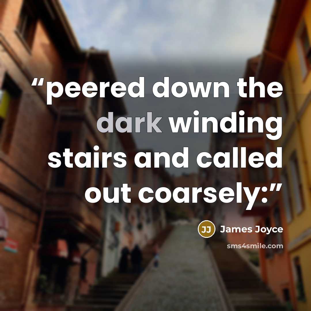 “peered down the dark winding stairs and called out coarsely:” quote by James Joyce