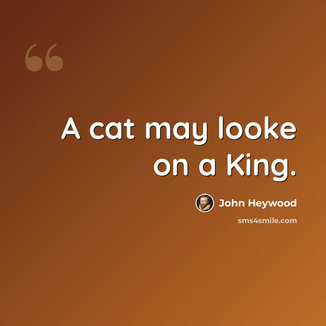 “A cat may looke on a King.” quote by John Heywood