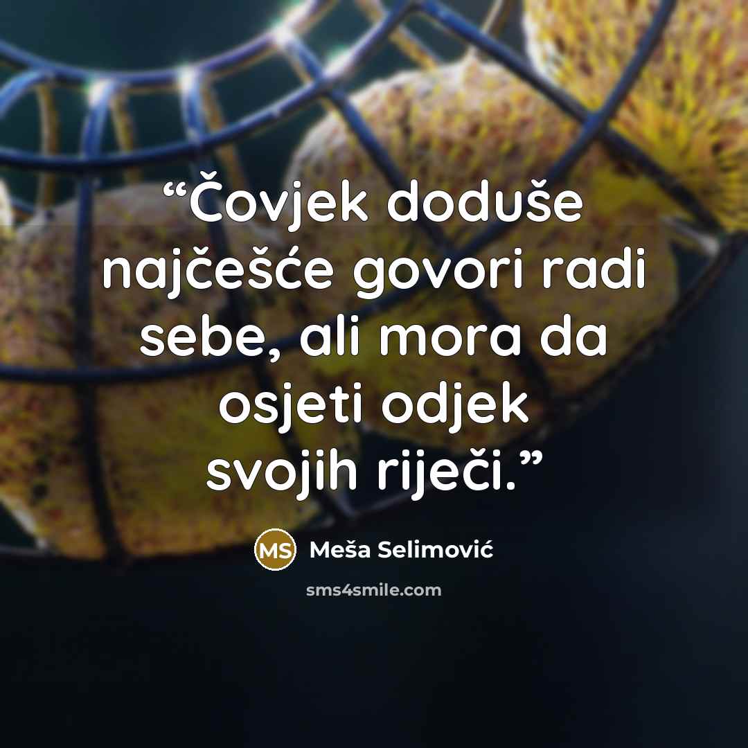 “Čovjek doduše najčešće govori radi sebe, ali mora da osjeti odjek svojih riječi.” quote by Meša Selimović