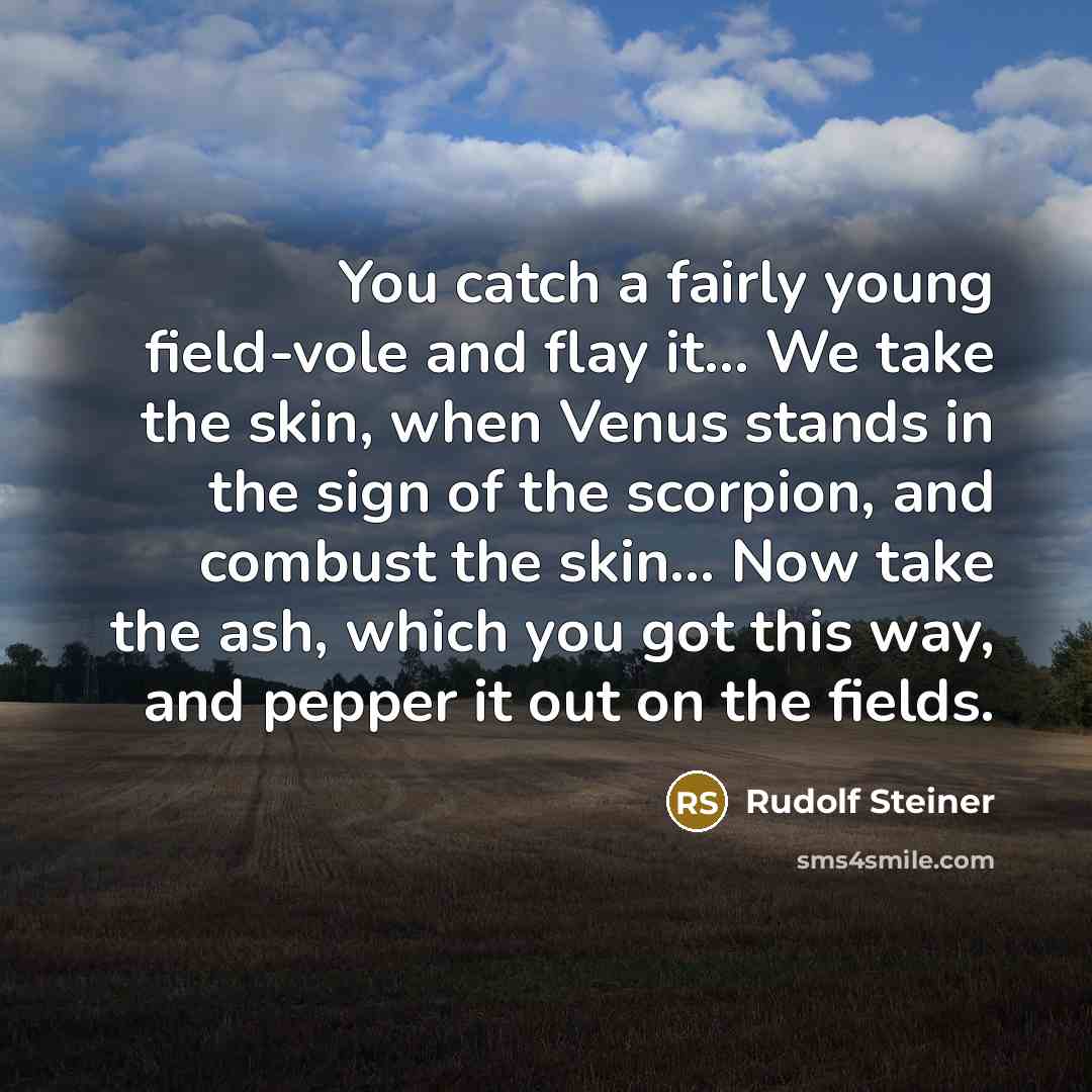 “You catch a fairly young field-vole and flay it... We take the skin, when Venus stands in the sign of the scorpion, and combust the skin... Now take the ash, which you got this way, and pepper it out on the fields.” quote by Rudolf Steiner