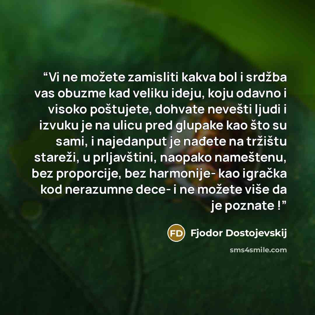 “Vi ne možete zamisliti kakva bol i srdžba vas obuzme kad veliku ideju, koju odavno i visoko poštujete, dohvate nevešti ljudi i izvuku je na ulicu pred glupake kao što su sami, i najedanput je nađete na tržištu stareži, u prljavštini, naopako nameštenu, bez proporcije, bez harmonije- kao igračka…” quote by Fjodor Dostojevskij