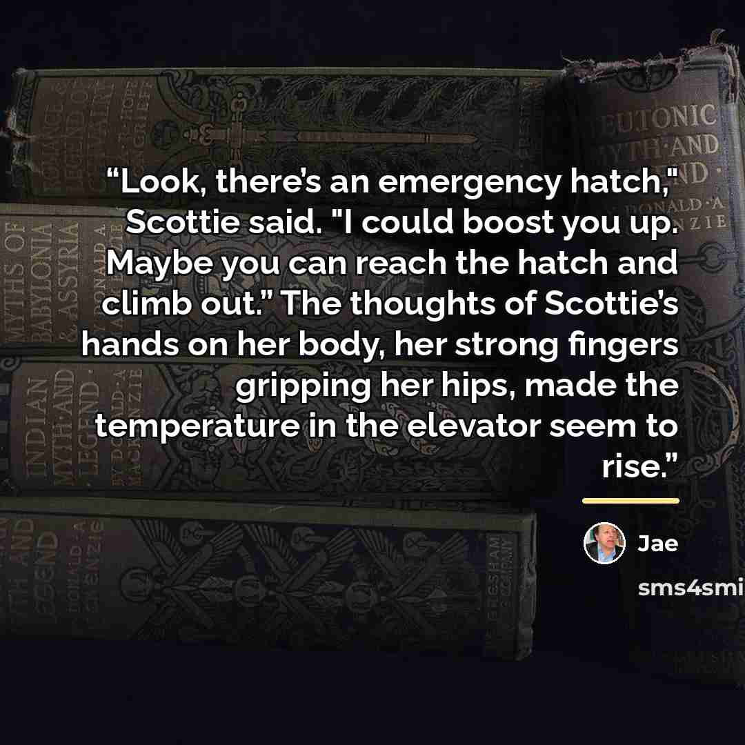 “Look, there’s an emergency hatch," Scottie said. "I could boost you up. Maybe you can reach the hatch and climb out.” The thoughts of Scottie’s hands on her body, her strong fingers gripping her hips, made the temperature in the elevator seem to rise.” quote by Jae