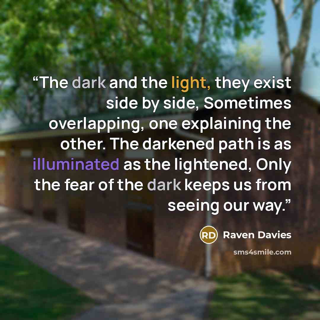 “The dark and the light, they exist side by side, Sometimes overlapping, one explaining the other. The darkened path is as illuminated as the lightened, Only the fear of the dark keeps us from seeing our way.” quote by Raven Davies
