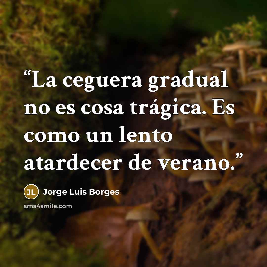 “La ceguera gradual no es cosa trágica. Es como un lento atardecer de verano.” quote by Jorge Luis Borges