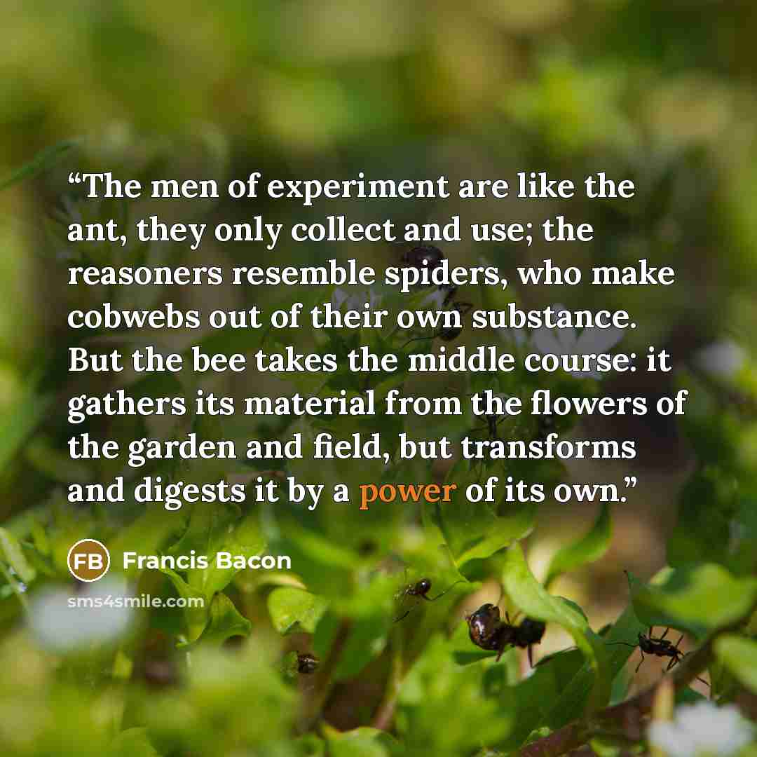 “The men of experiment are like the ant, they only collect and use; the reasoners resemble spiders, who make cobwebs out of their own substance. But the bee takes the middle course: it gathers its material from the flowers of the garden and field, but transforms and digests it by a power of its own.” quote by Francis Bacon