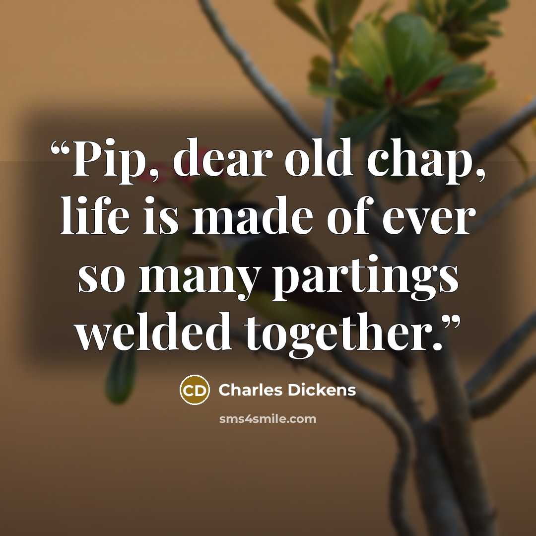 “Pip, dear old chap, life is made of ever so many partings welded together.” quote by Charles Dickens