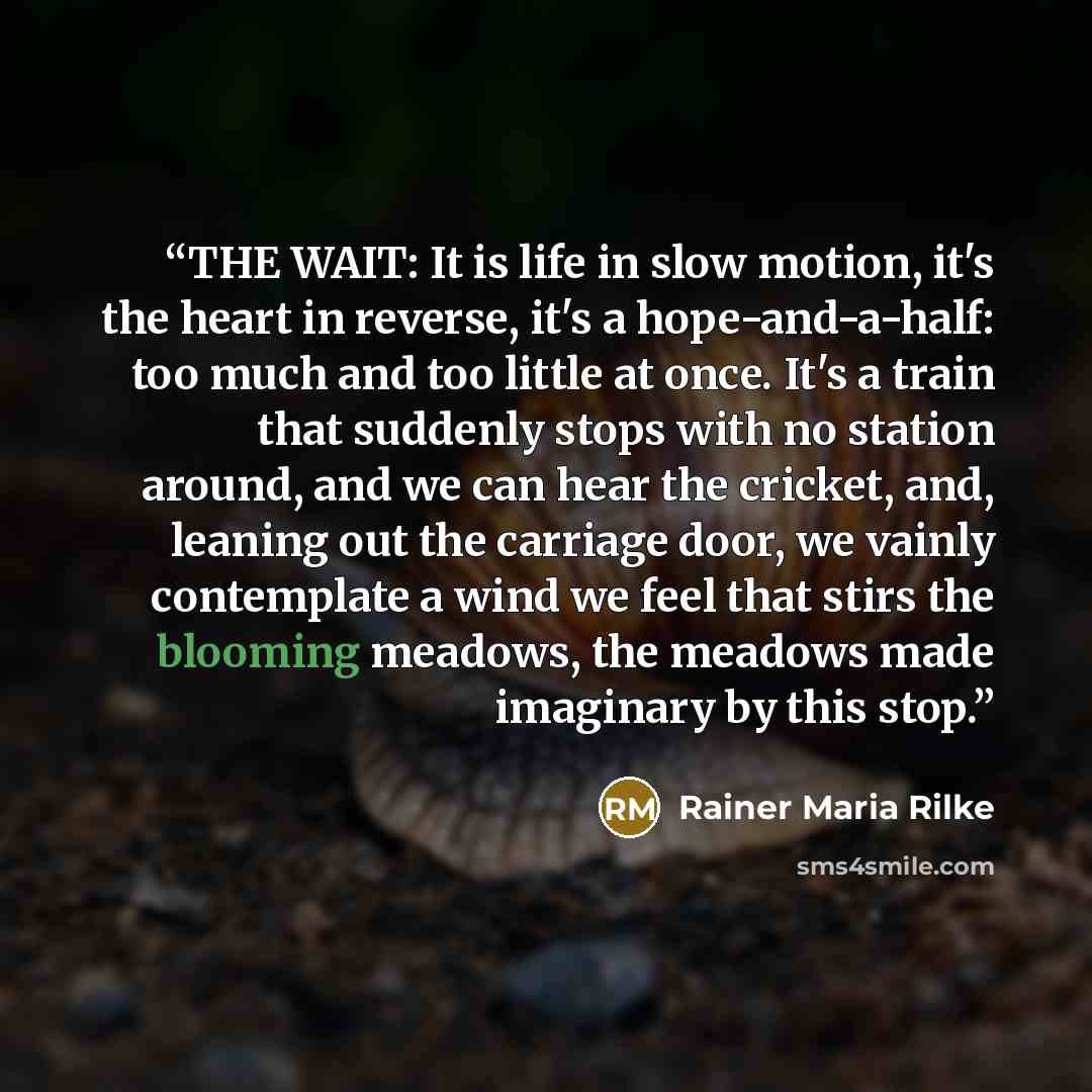 “THE WAIT: It is life in slow motion, it's the heart in reverse, it's a hope-and-a-half: too much and too little at once. It's a train that suddenly stops with no station around, and we can hear the cricket, and, leaning out the carriage door, we vainly contemplate a wind we feel that stirs the…” quote by Rainer Maria Rilke