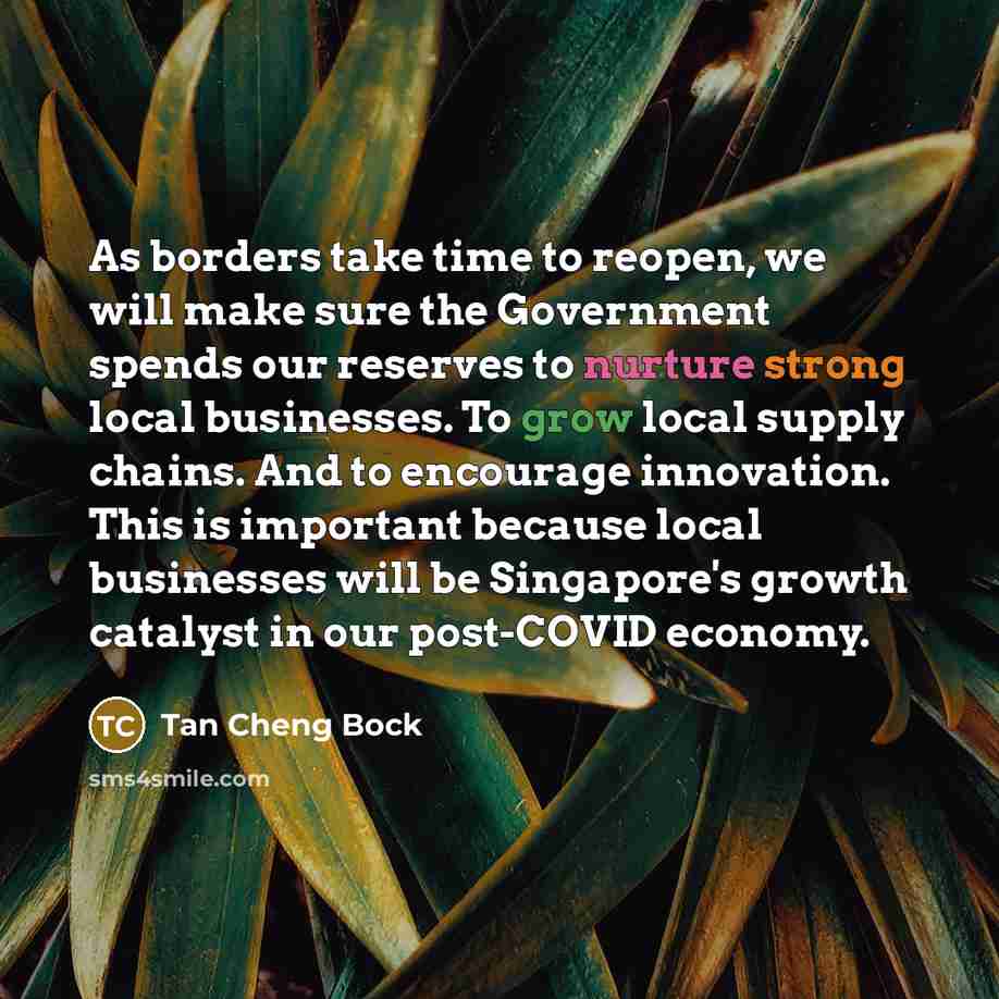 “As borders take time to reopen, we will make sure the Government spends our reserves to nurture strong local businesses. To grow local supply chains. And to encourage innovation. This is important because local businesses will be Singapore's growth catalyst in our post-COVID economy.” quote by Tan Cheng Bock