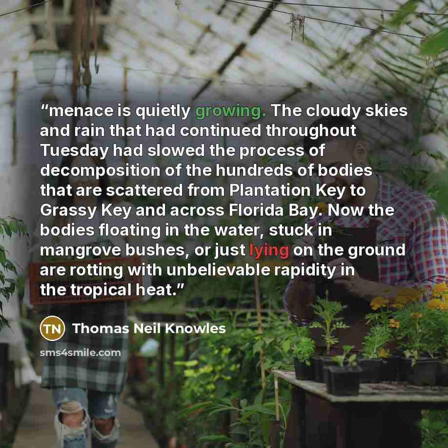 “menace is quietly growing. The cloudy skies and rain that had continued throughout Tuesday had slowed the process of decomposition of the hundreds of bodies that are scattered from Plantation Key to Grassy Key and across Florida Bay. Now the bodies floating in the water, stuck in mangrove bushes…” quote by Thomas Neil Knowles