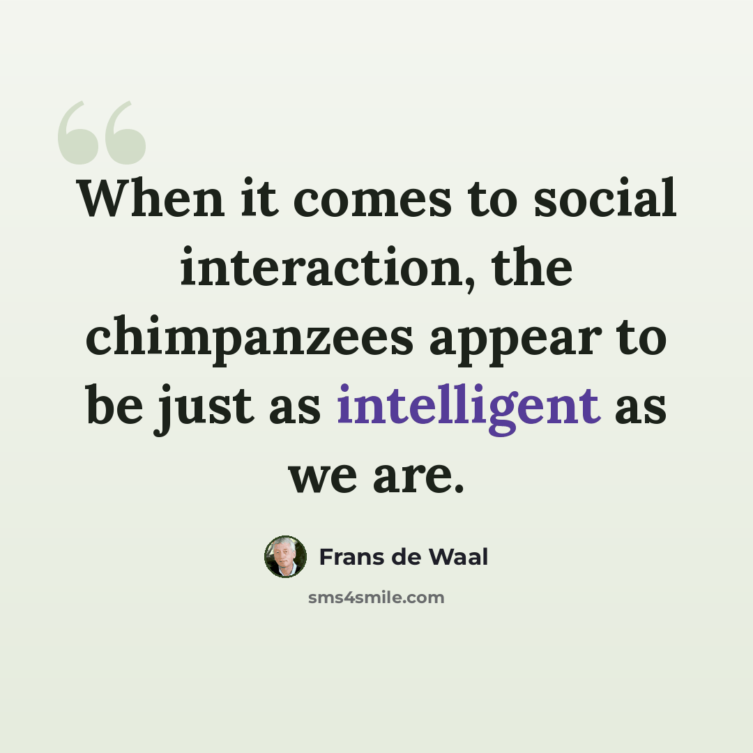 “When it comes to social interaction, the chimpanzees appear to be just as intelligent as we are.” quote by Frans de Waal